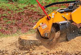 Best Tree Cabling and Bracing  in West Ocean City, MD