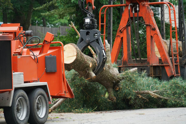 Best Pest Control for Lawns  in West Ocean City, MD